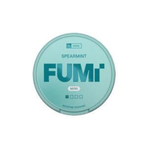 FUMi Spearmint Mini Regular