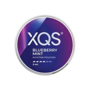 XQS Blueberry Mint 8mg