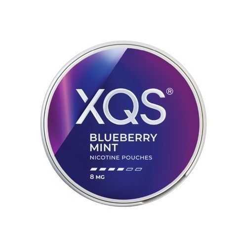 XQS Blueberry Mint 8mg