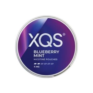 XQS Blueberry Mint 4mg